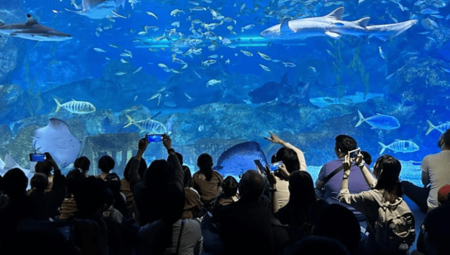 【室內溫暖景點】